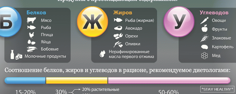 Бжу при диете. Рацион питания с соотношением белков жиров и углеводов. Дл похудания соотношение белков жиров иуглеводов. Соотношение белка углеводов и жиров. Жиры белки углеводы соотношение в рационе.